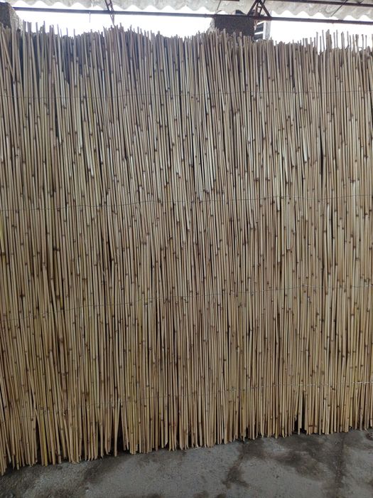 Zabor uchun qamish bor