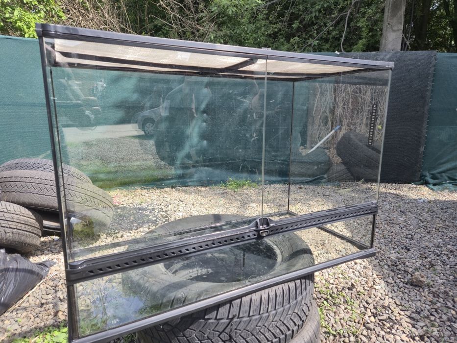 Terariu  animale companie, șerpi iguana tarantule