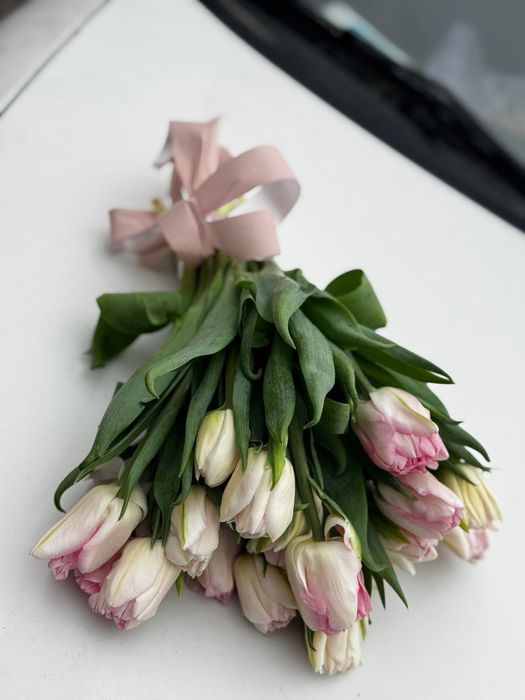 Голландские тюльпаны