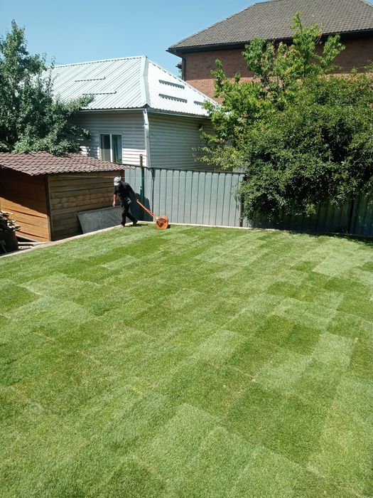 Газон рулонный и посевной