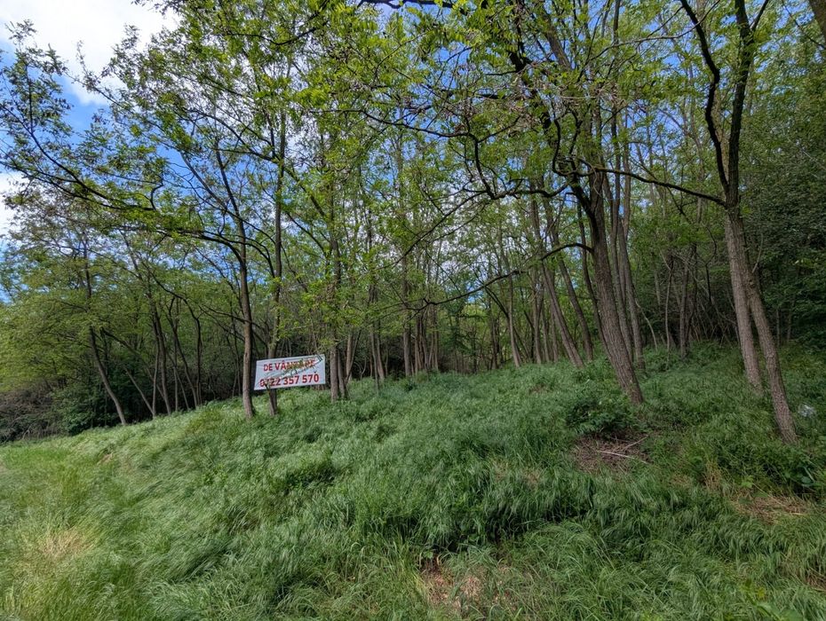 Vand teren intravilan in Bujoreni