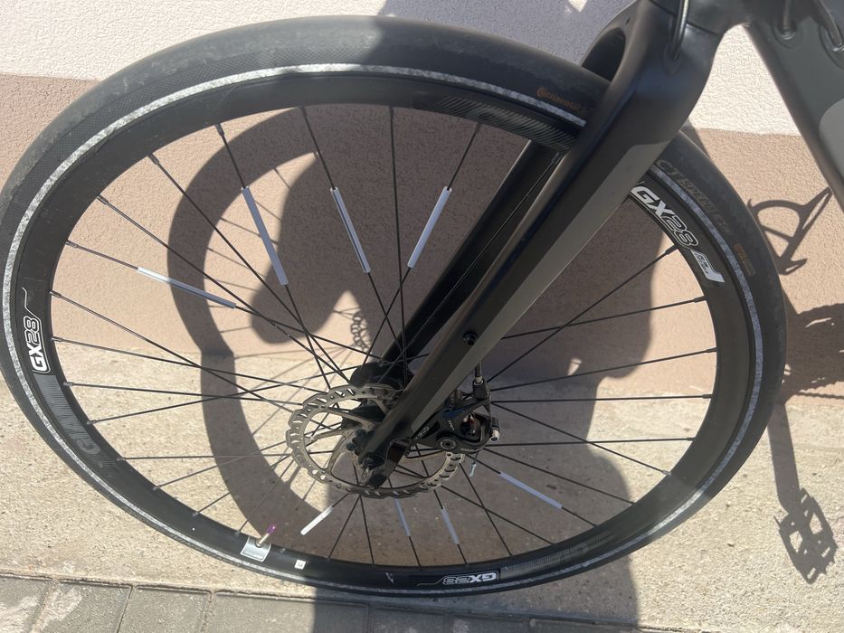 Cursiera/Gravel Giant Anyroad