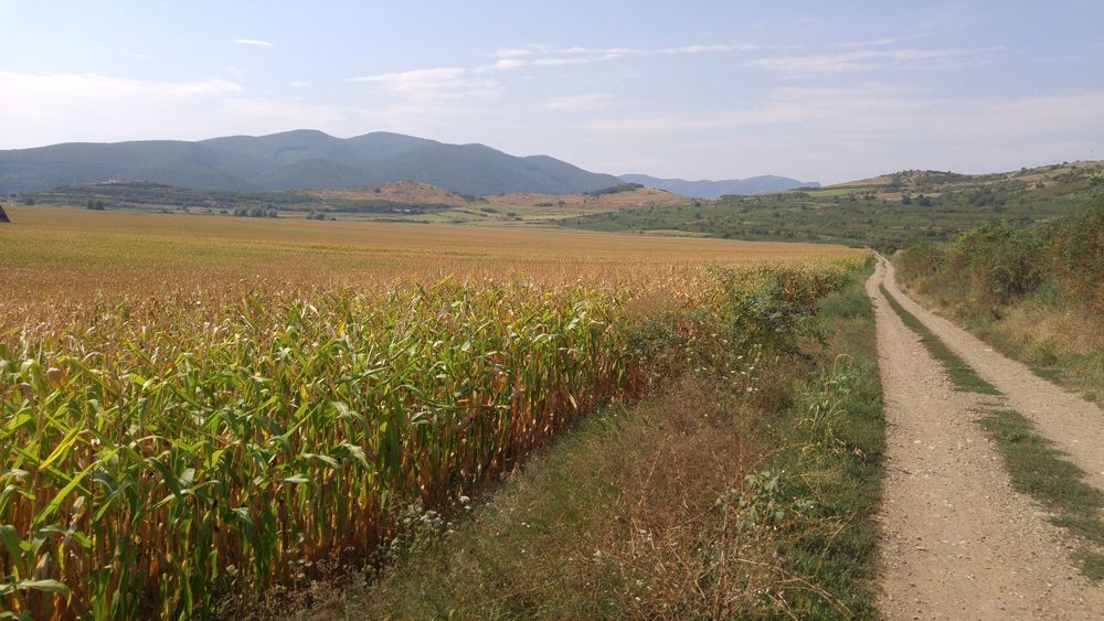 Teren Intravilan, Ighiu, Alba-Iulia