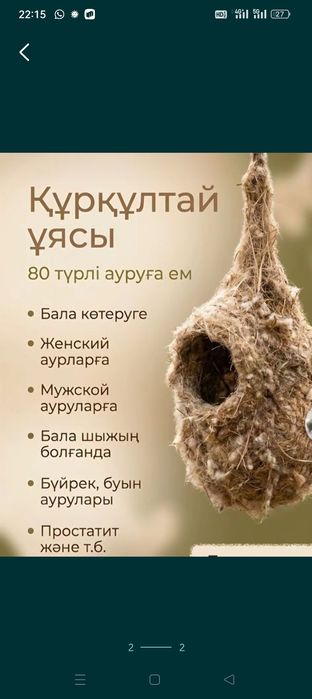 Куркылтай уясы гнездо ремеза