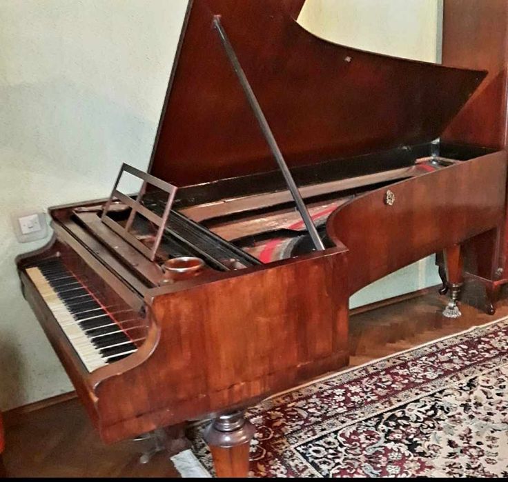 Pian vienez Emrich Betsy cu coada lunga