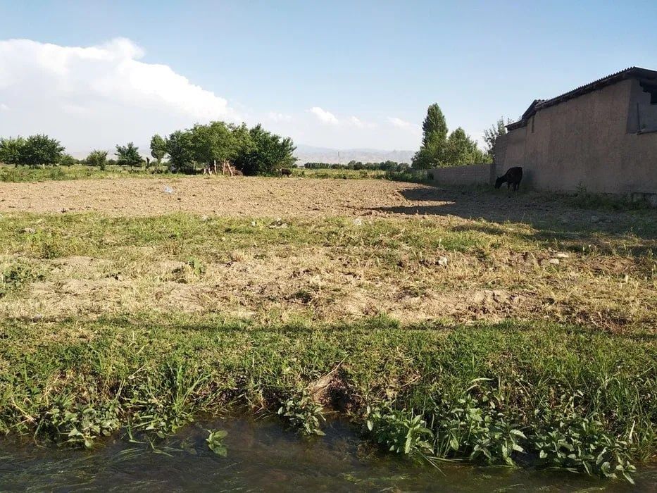 Участка сотилади, 20 сотих