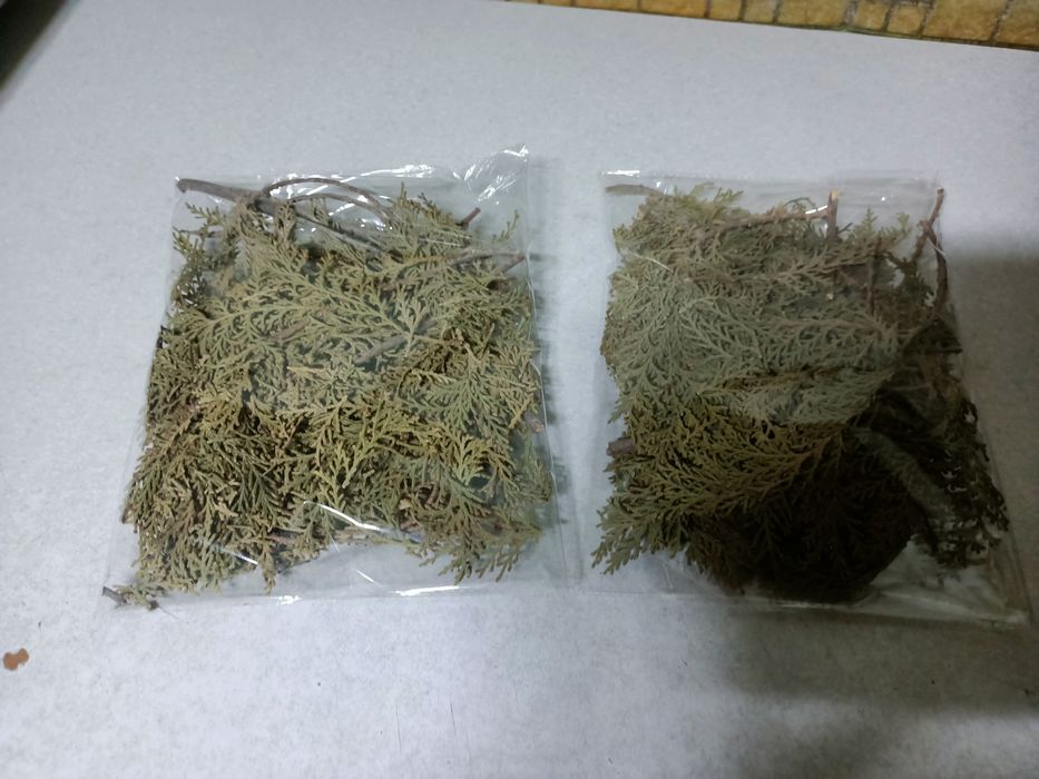 Арша, Арша, Арша