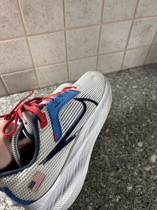Nike Air Zoom Pegasus 40