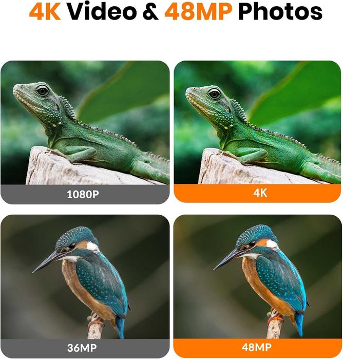 4K 48MP ловна камера с нощно виждане, активиране с движение