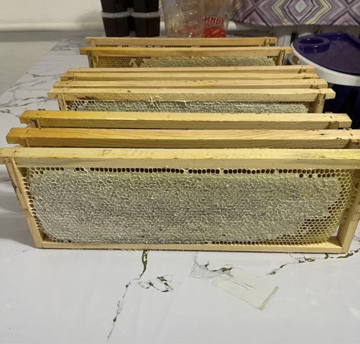 Мёд натуралный Табиғи бал