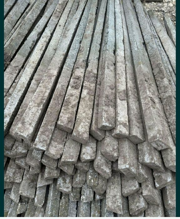 Spalieri din salcam si din beton