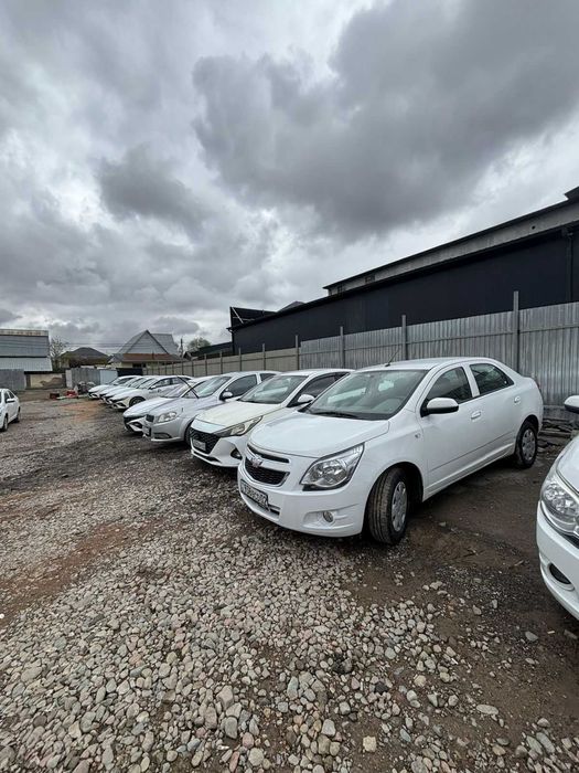 Таксиде табыс тапқың келе ме? Бізбен бірге баста!