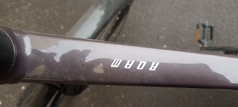 Giant roam 2.      L
