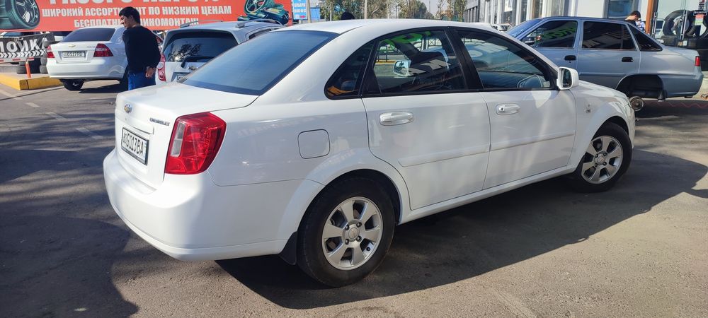 Жентра 2 позиция