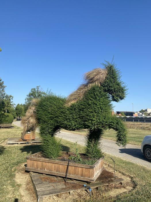 Plante aduse la comandăl