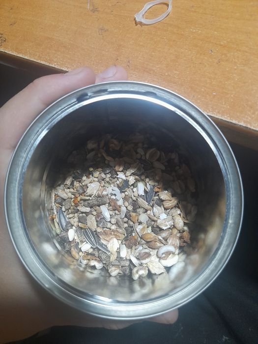 Шар и орм для хомяков