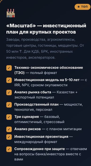 Бизнес план для крупных проектов