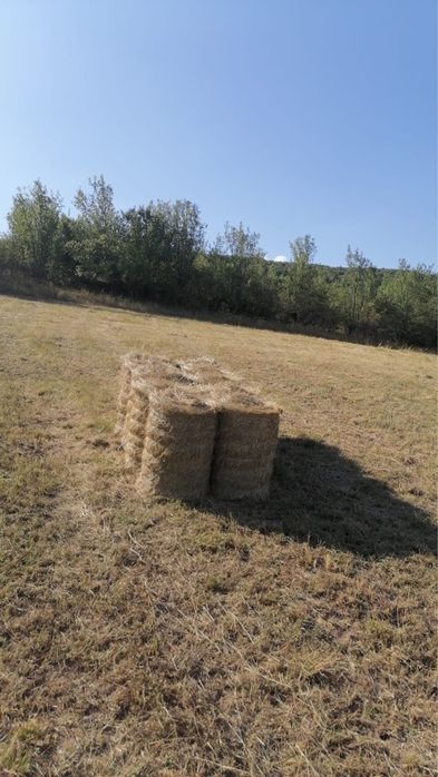 Vand baloti de fân