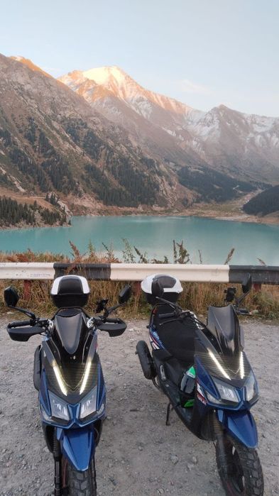 Мопет самурай.2025