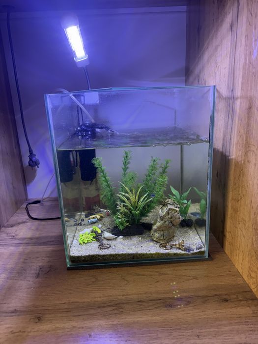 Продается аквариум с рыбками. 30 л