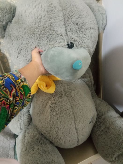 TEDDY BEAR , Mishka, myaxki igrushka