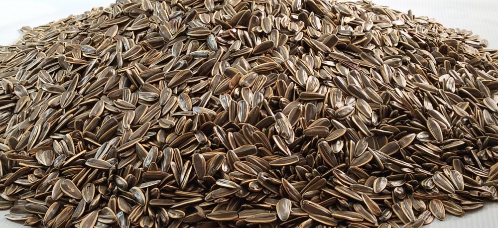 Семечки полосатые