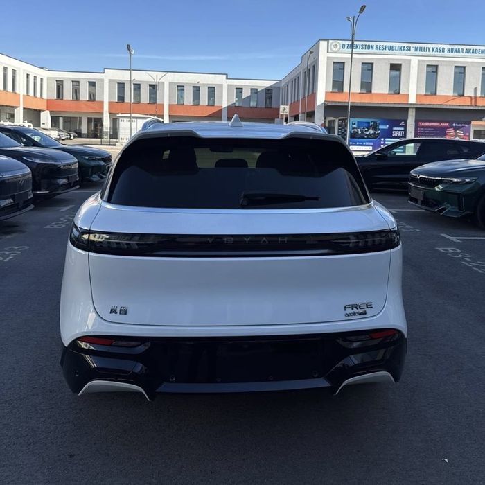 Voyah free Apollo tech 210км 2023 йил