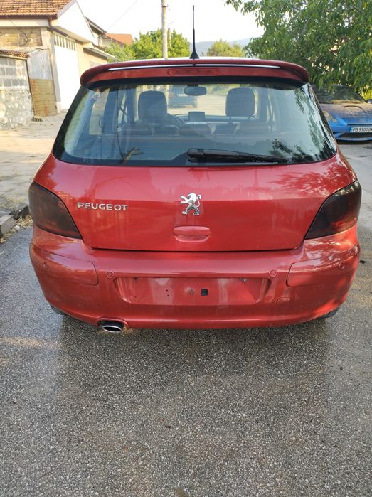 Peugeot 307 RC 2.0 180 на части