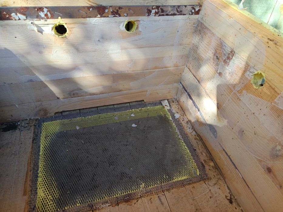 Кошери Дадан блат