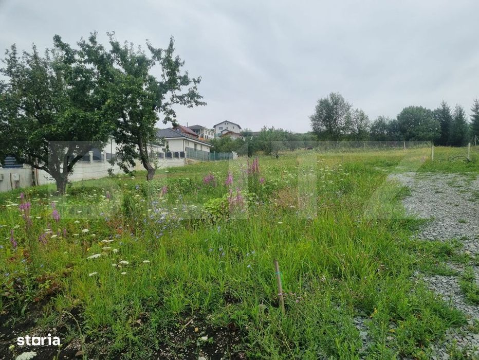 Teren 700 mp cu priveliste spre oras, disponibil si parcelat, Bistrita