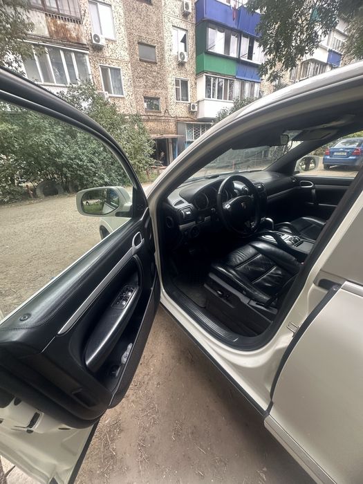 Продам  живого порша