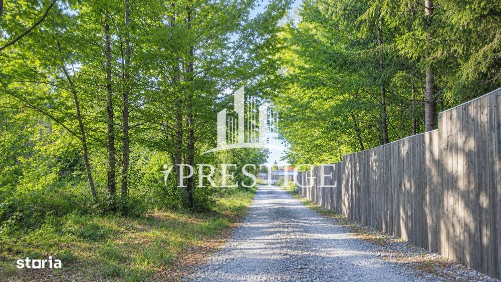 Teren Intravilan De Vânzare | Valea Avrigului | 744 Mp