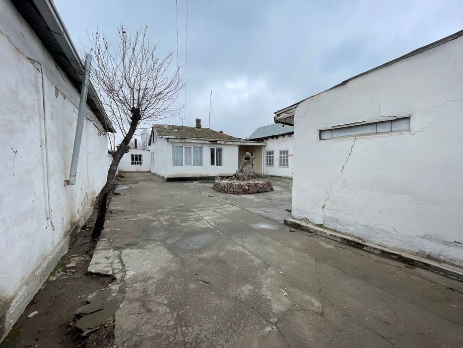 Hovli 12 sotx yaxshi joyda joylashgan