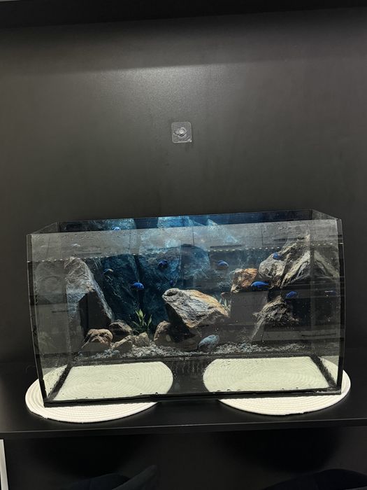 Acvariu sticlă 72 cm lungime