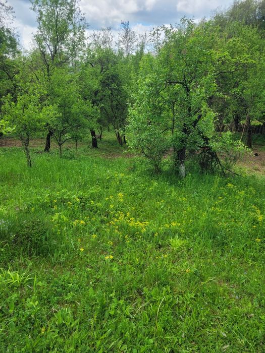 Teren de vanzare Varfuri, Dambovita