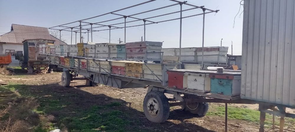 Пчелоприцеп бизнес