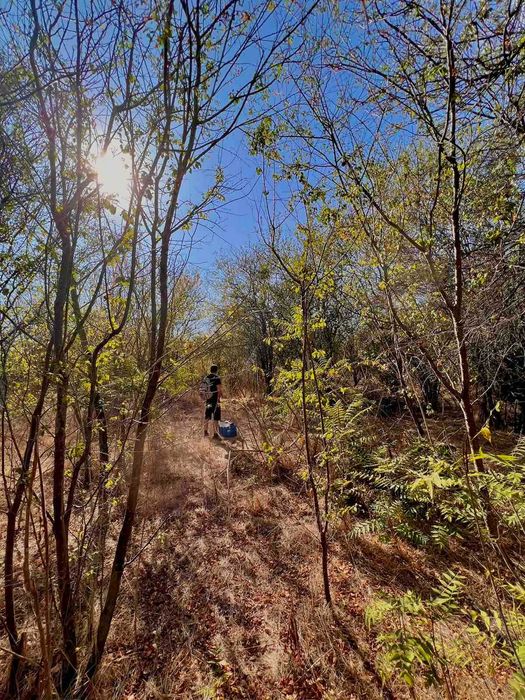 Продава се Парцел в с. Захари Стояново, Област Добрич - 2400 кв.м за 7 €/кв.м - Снимка #2