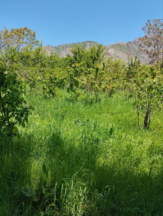 Йер сотилади 16 сотих