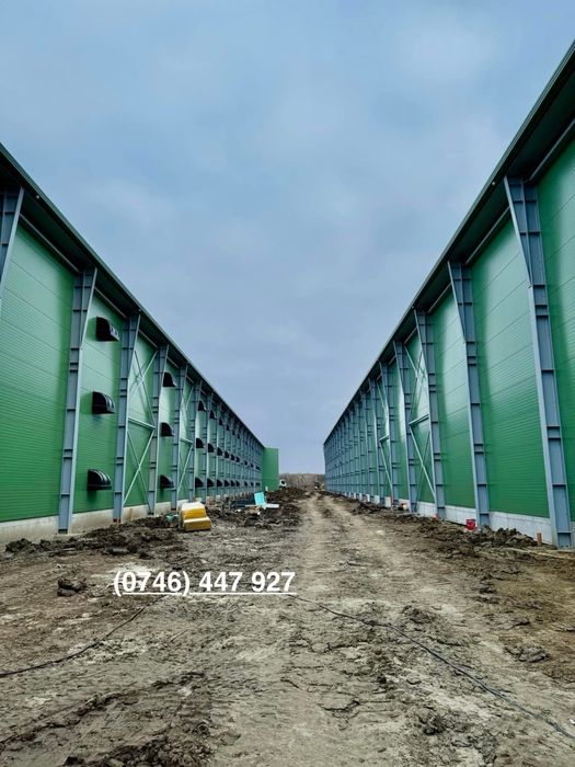• Construim Hale Metalice pe comanda / Structuri Metalice la gata