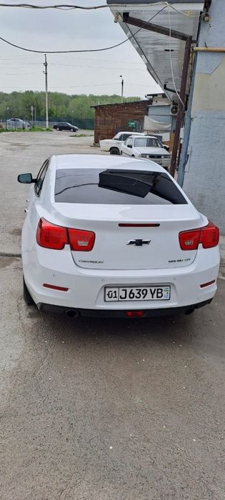 Malibu 1 3 Пазитсия