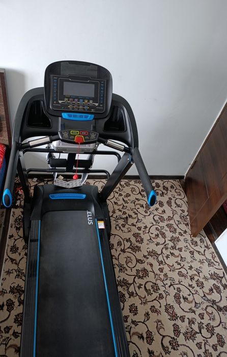 Беговая дорожка.