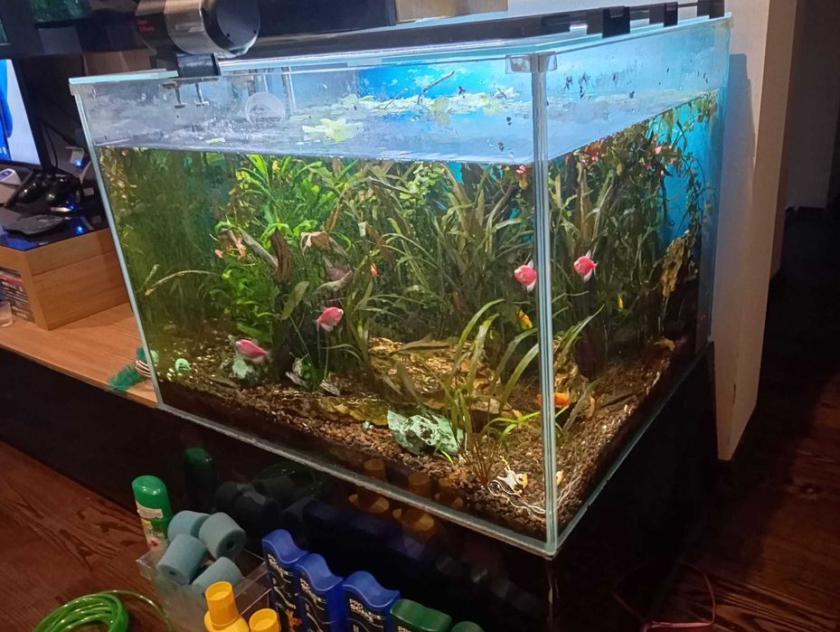Acvariu 250 L ClearGlass si accesorii