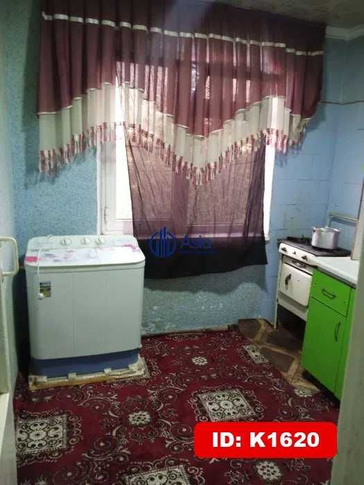 Qizlarga ijaraga kvartira beriladi