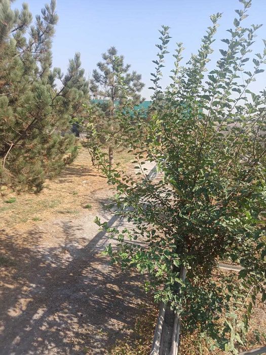 Земля 1 гектар на Юкоричирчик / Yer sotiladi 10 000kv yukori chirchiq