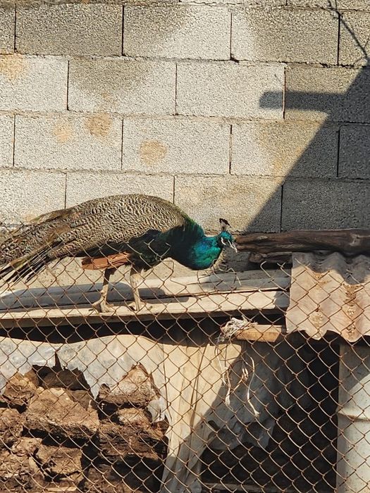 Продаётся ком интересно