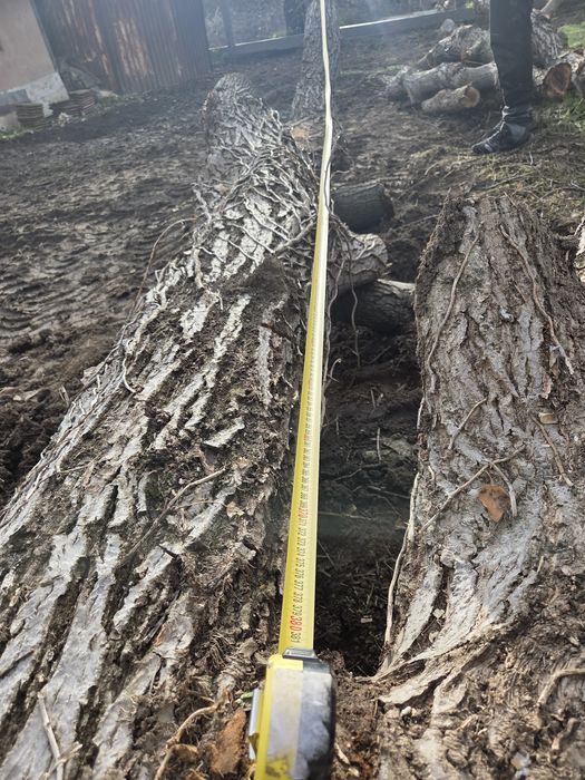 Дървен матерял,орех