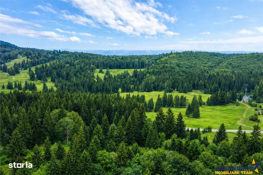 FILM! 1.000 mp,PUZ,regim P+2+M,destinatii turisticerezidentiale.