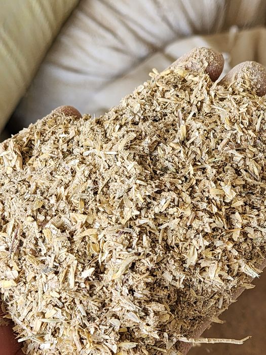 Bug'doy mikinasi, topon.