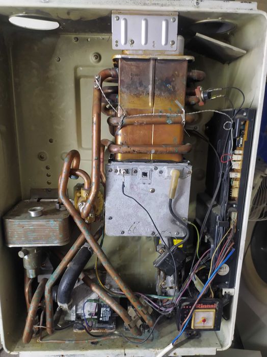 Запчасти на газовый двухконтурный котел Ренай