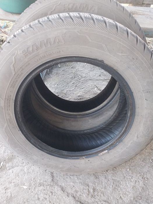 Автошины зимние продам